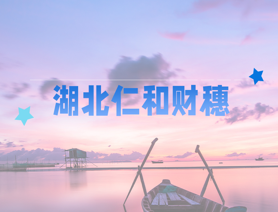 湖北仁和財(cái)穗.jpg